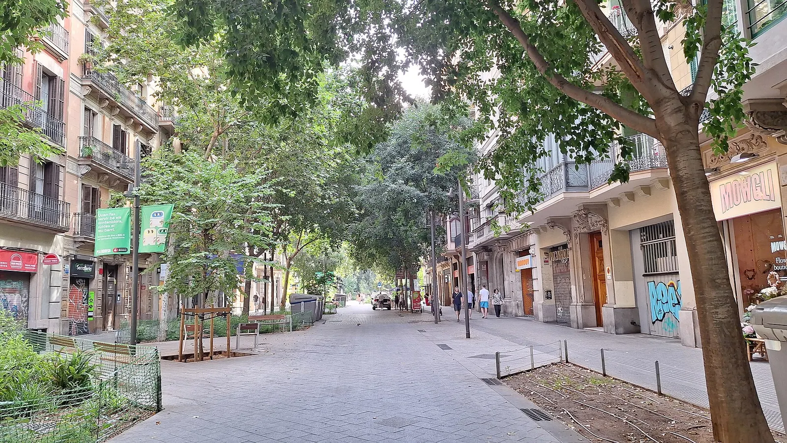 A pedestrian stretch of Carrer del Consell de Cent in Barcelona, with plane trees, benches and apartment buildings with iron balconies